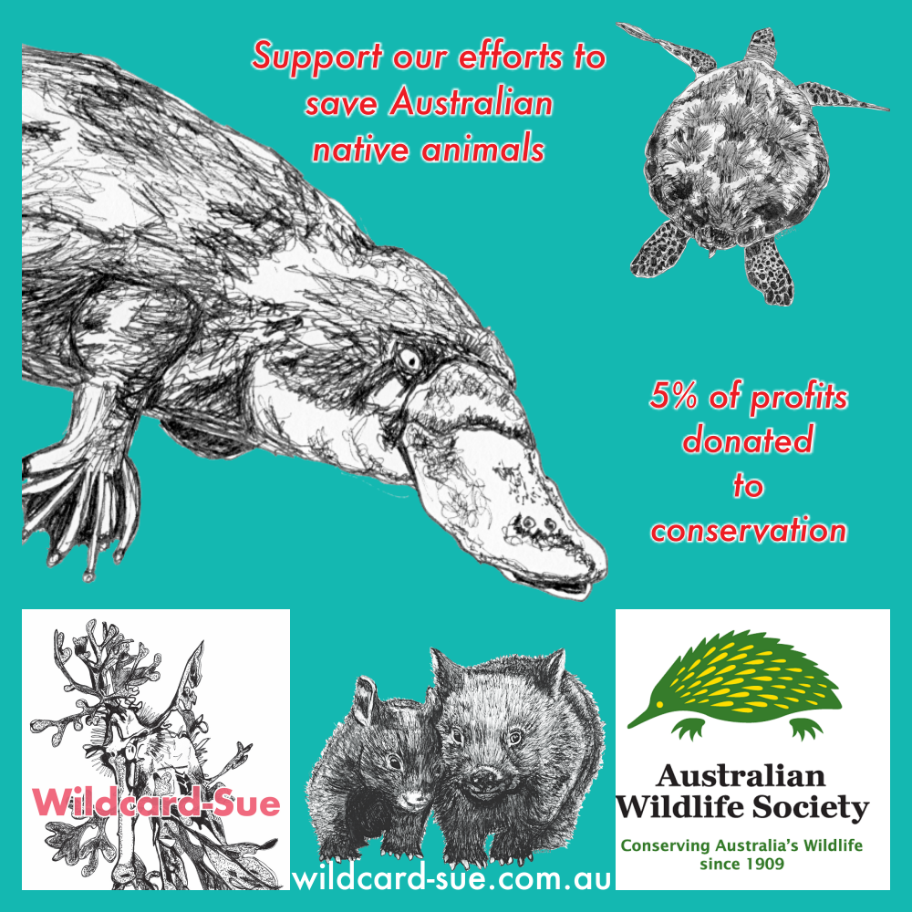 ANNOUNCEMENT: partnership with Australian Wildlife Society