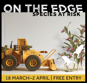 On the Edge - drawing live with Foundation and Friends of the Botanic Gardens