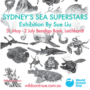 Sue's first art exhibition, residency and events for World Ocean Day