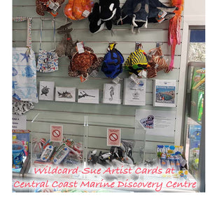 Going WILD in the Central Coast Marine Discovery Centre gift shop