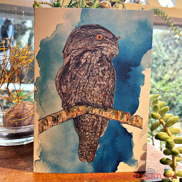 Owl Card - Connor the Tawny Frogmouth
