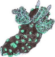 Nudibranch - Greenie the Crested Nembrotha Nudibranch