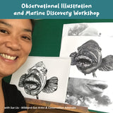 Observational Illustration and Marine Discovery - Adults Only afternoon session -1 December