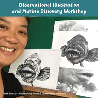 Workshop - Illustration and Marine Discovery - 1 June 2025