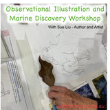 Workshop - Illustration and Marine Discovery - 1 June 2025
