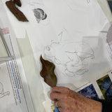 Observational Illustration and Marine Discovery - Adults Only afternoon session -1 December