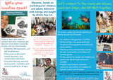 Workshop - Illustration and Marine Discovery - 1 June 2025