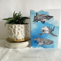 Shark Card - Shark Frenzy - Splashy by Wildcard-Sue