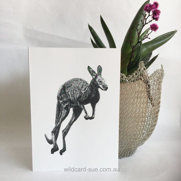 Kangaroo card- Johnny the Kangaroo