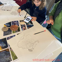 Workshop - Illustration and Marine Discovery - 1 June 2025