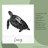 Turtle - Lucy the Turtle