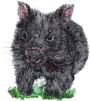 Wombat card - Billie the baby Wombat