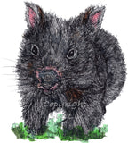 Wombat - Billie the Baby Wombat