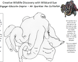 Education - Wild Discovery Colouring-in and activity sheets