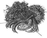 Hermit Crab - Herman the Crab