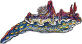 Nudibranch - Mia the Magnificent Nudibranch