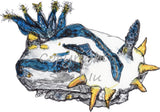Nudibranch - Polly the Nudibranch