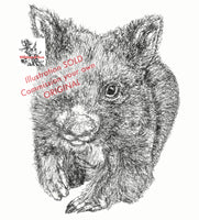 Wombat - Bill the Baby Wombat
