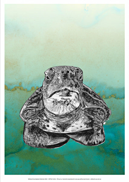Cliff the Turtle Poster