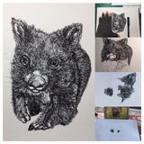 Wombat - Bill the Baby Wombat