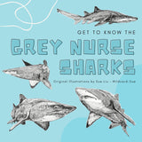 Shark - Mark the Grey Nurse Shark