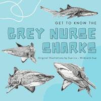 Shark - Trev the Grey Nurse Shark