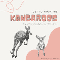 Kangaroo - Johnny the Kangaroo
