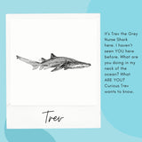 Shark - Trev the Grey Nurse Shark