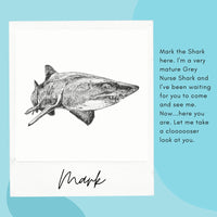 Shark - Mark the Grey Nurse Shark