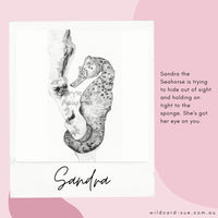 Seahorse - Sandra the Seahorse
