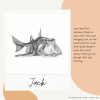 Shark - Jackson the Port Jackson Shark
