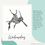 Weedy Seadragon - Wednesday the Weedy Seadragon