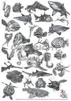 Collection - Sea Animals