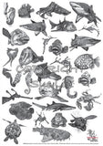 Collection - Sea Animals