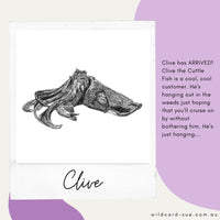 Cuttlefish - Clive the Cuttlefish