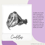 Cuttlefish - Cuddles the Cuttlefish