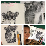 Koala - Mumma Lee and Fraser the Koala