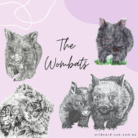 Wombat - David and Betty Wombat